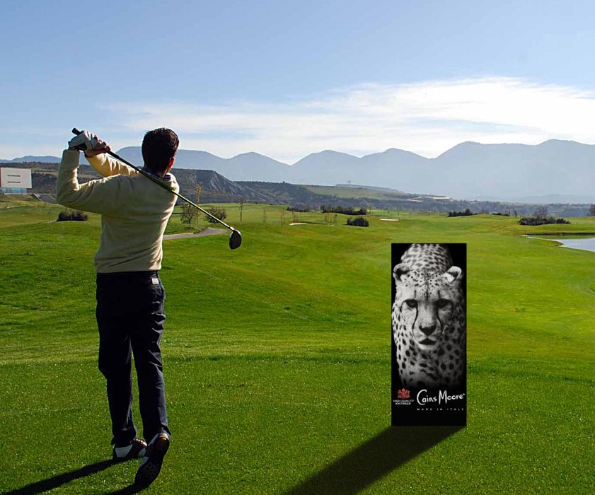Cains Moore Golf Trophy