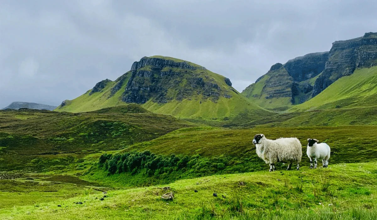 Lana Shetland