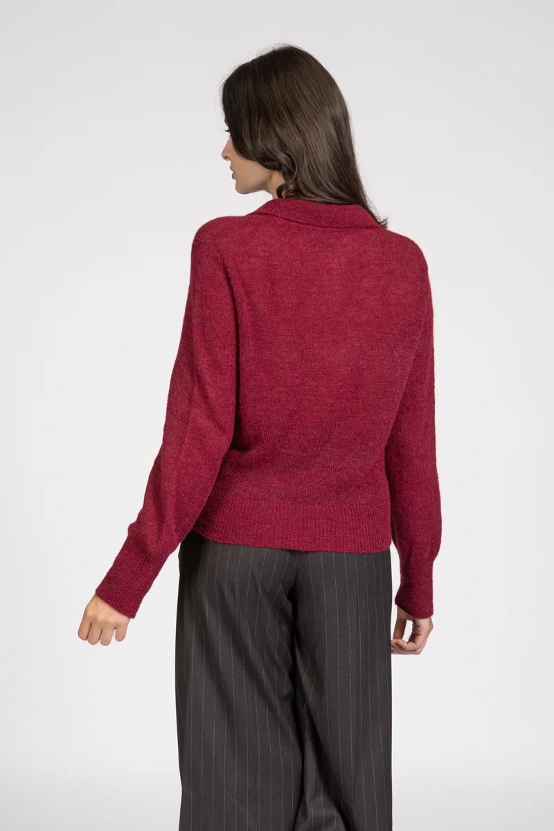 Maglia in Alpaca stile polo