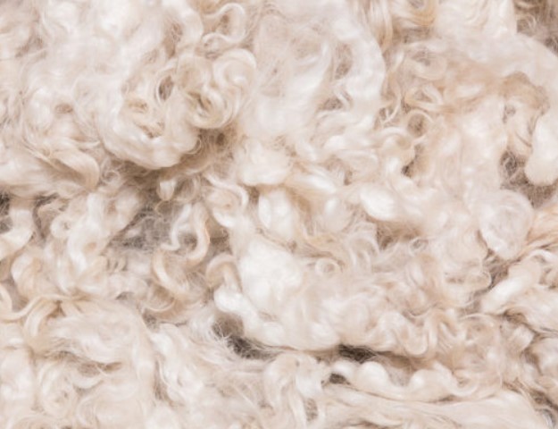 fleece wool